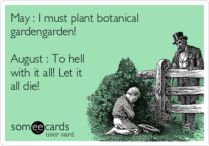 May : I must plant botanical
gardengarden!

August : To hell
with it all! Let it
all die!