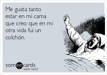 Me gusta tanto
estar en mi cama
que creo que en mi
otra vida fui un
colchón.