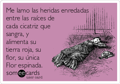 Me lamo las heridas enredadas
entre las raíces de
cada cicatriz que
sangra, y
alimenta su
tierra roja, su
flor, su única
Flor espinada.