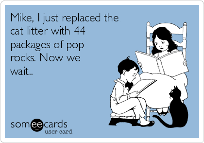 Mike, I just replaced the
cat litter with 44
packages of pop
rocks. Now we
wait..