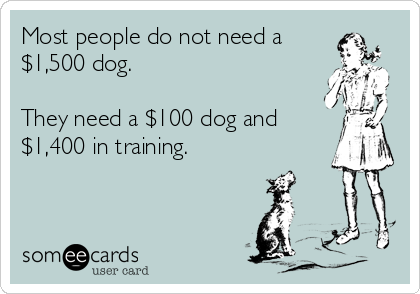 Most people do not need a
$1,500 dog.

They need a $100 dog and
$1,400 in training.