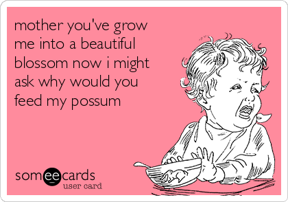 mother you've grow
me into a beautiful
blossom now i might
ask why would you
feed my possum