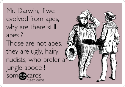 Mr. Darwin, if we
evolved from apes,
why are there still
apes ?
Those are not apes,
they are ugly, hairy,
nudists, who prefer a
jungle abode !