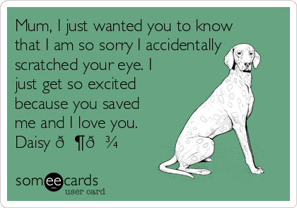 Mum, I just wanted you to know
that I am so sorry I accidentally
scratched your eye. I
just get so excited
because you saved
me and I love you. 
Daisy 