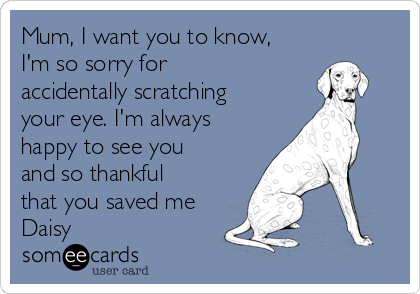 Mum, I want you to know,
I'm so sorry for
accidentally scratching
your eye. I'm always
happy to see you
and so thankful
that you saved me
Daisy
