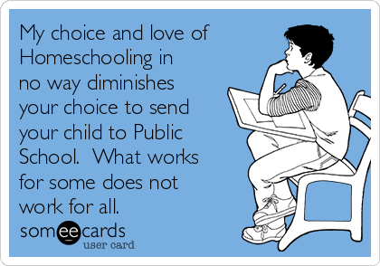 My choice and love of
Homeschooling in
no way diminishes
your choice to send
your child to Public
School.  What works
for some does not
work for all. 