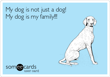 My dog is not just a dog!
My dog is my family!!!