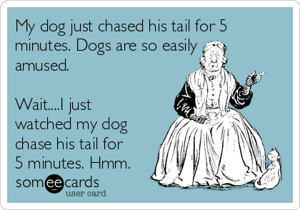 My dog just chased his tail for 5
minutes. Dogs are so easily
amused.

Wait....I just
watched my dog
chase his tail for
5 minutes. Hmm.