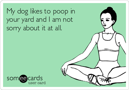 My dog likes to poop in
your yard and I am not
sorry about it at all.