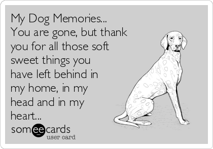 My Dog Memories...
You are gone, but thank
you for all those soft
sweet things you
have left behind in
my home, in my
head and in my
heart...