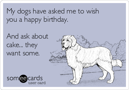My dogs have asked me to wish
you a happy birthday. 

And ask about
cake... they
want some.