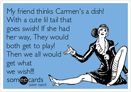 My friend thinks Carmen's a dish!
With a cute lil tail that
goes swish! If she had
her way, They would
both get to play!
Then we all would
get what
we wish!!!