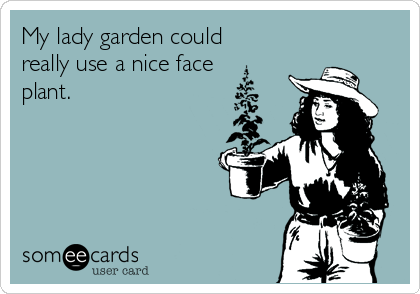 My lady garden could
really use a nice face
plant.