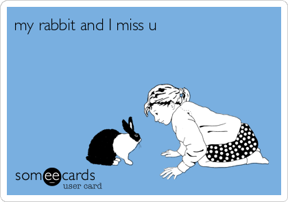 my rabbit and I miss u