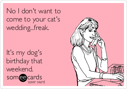 No I don't want to
come to your cat's
wedding...freak.


It's my dog's
birthday that
weekend.