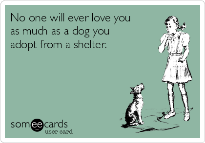 No one will ever love you
as much as a dog you
adopt from a shelter.