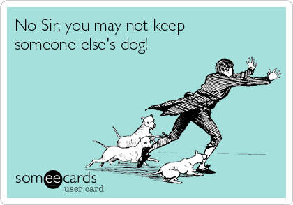 No Sir, you may not keep
someone else's dog!  