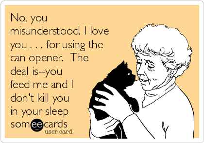 No, you
misunderstood. I love
you . . . for using the
can opener.  The
deal is--you
feed me and I
don't kill you
in your sleep