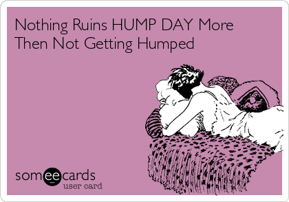 Nothing Ruins HUMP DAY More
Then Not Getting Humped 





