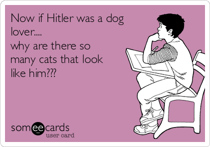 Now if Hitler was a dog
lover....
why are there so
many cats that look
like him??? 