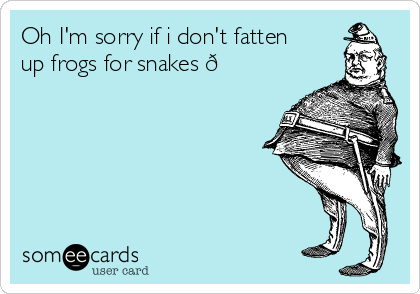 Oh I'm sorry if i don't fatten
up frogs for snakes 