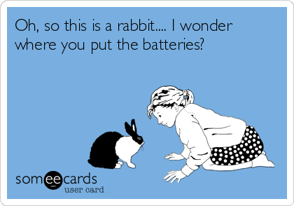 Oh, so this is a rabbit.... I wonder
where you put the batteries?