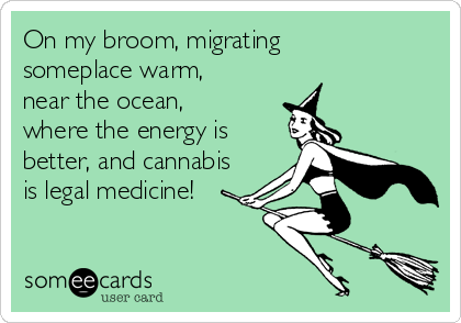 On my broom, migrating
someplace warm,
near the ocean,
where the energy is
better, and cannabis
is legal medicine!