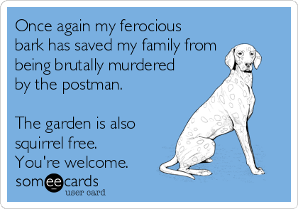 Once again my ferocious
bark has saved my family from
being brutally murdered
by the postman.

The garden is also
squirrel free.
You're welcome.