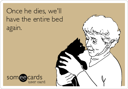 Once he dies, we'll
have the entire bed
again.