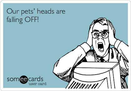 Our pets' heads are
falling OFF!
