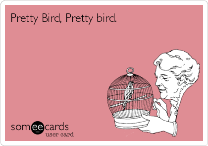 Pretty Bird, Pretty bird.  