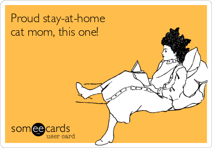 Proud stay-at-home 
cat mom, this one! 