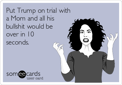 Put Trump on trial with
a Mom and all his
bullshit would be
over in 10
seconds.