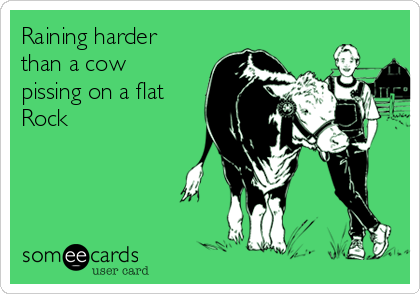 Raining harder
than a cow
pissing on a flat
Rock 
