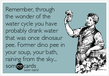 Remember, through
the wonder of the
water cycle you have
probably drank water
that was once dinosaur
pee. Former dino pee in
your soup, your bath,
raining from the sky...