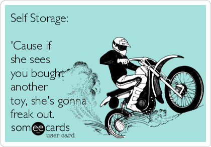 Self Storage:

'Cause if
she sees
you bought
another
toy, she's gonna
freak out.