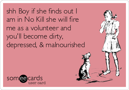 shh Boy if she finds out I
am in No Kill she will fire
me as a volunteer and
you'll become dirty,
depressed, & malnourished
