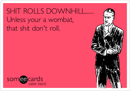 SHIT ROLLS DOWNHILL.......
Unless your a wombat,
that shit don't roll.