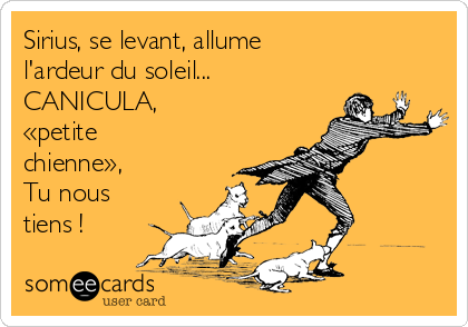 Sirius, se levant, allume 
l'ardeur du soleil...
CANICULA, 
«petite
chienne»,
Tu nous
tiens !