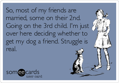 So, most of my friends are
married, some on their 2nd.
Going on the 3rd child. I'm just
over here deciding whether to
get my dog a friend. Struggle is
real.