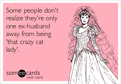 Some people don't
realize they're only
one ex-husband
away from being
'that crazy cat
lady'. 