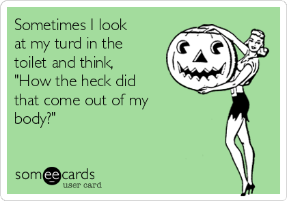 Sometimes I look
at my turd in the
toilet and think,
"How the heck did
that come out of my
body?"