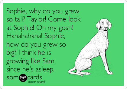 Sophie, why do you grew
so tall? Taylor! Come look
at Sophie! Oh my gosh!
Hahahahaha! Sophie,
how do you grew so
big? I think he is
growing like Sam
since he's asleep.