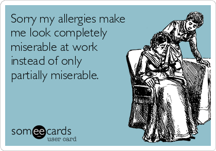 Sorry my allergies make
me look completely
miserable at work
instead of only
partially miserable.