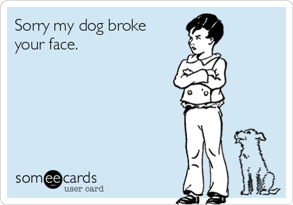 Sorry my dog broke
your face.