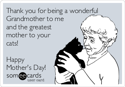 Thank you for being a wonderful
Grandmother to me
and the greatest
mother to your
cats!

Happy
Mother's Day!