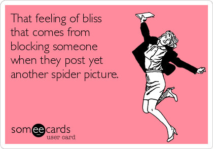 That feeling of bliss
that comes from
blocking someone
when they post yet
another spider picture.