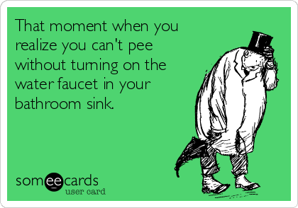 That moment when you
realize you can't pee
without turning on the
water faucet in your
bathroom sink.