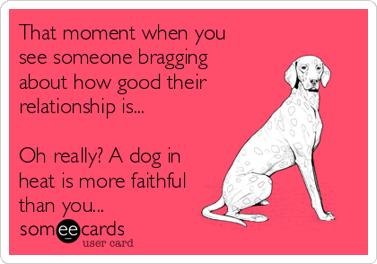 That moment when you
see someone bragging
about how good their
relationship is...

Oh really? A dog in
heat is more faithful
than you...