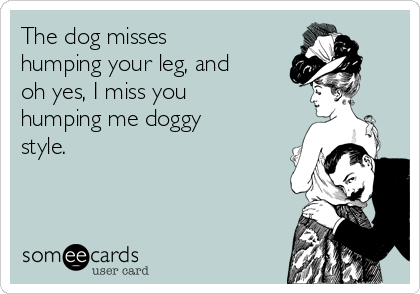 The dog misses
humping your leg, and
oh yes, I miss you
humping me doggy
style. 